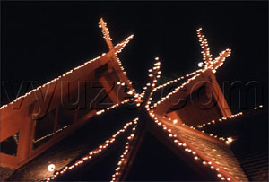 Roofs and chimneys