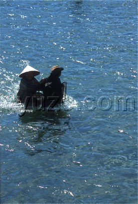 Collecting riverweed / Location: Vang Vien, Laos