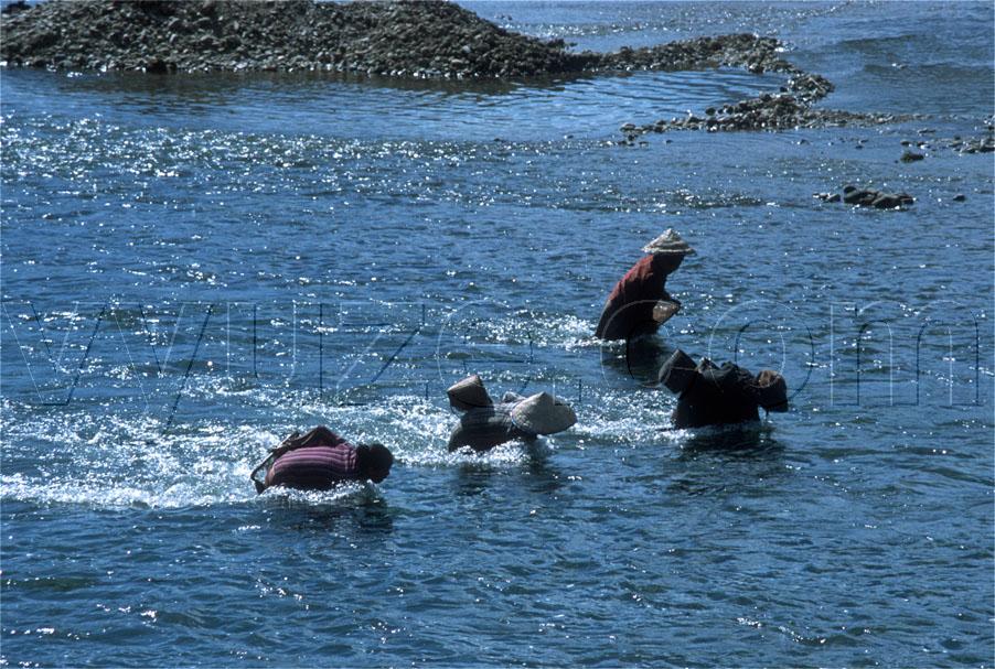 Collecting riverweed / Location: Vang Vien, Laos
