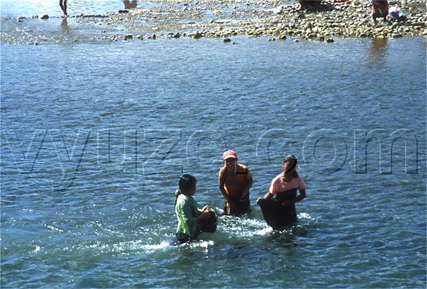 Collecting riverweed / Location: Vang Vien, Laos
