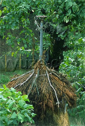 Haystack with roof made of branches / Location: Greece