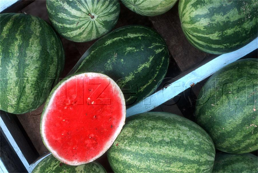Melons for sale at road-side store / Location: Mexico