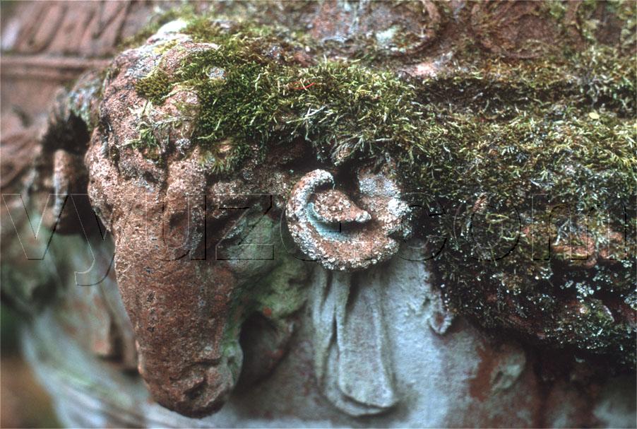 Ram sculpture with moss / Location: Tresco, Scilly Isles, Cornwall, England