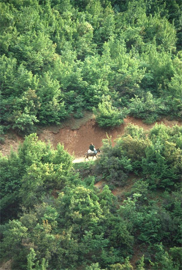 Woman on donkey / Location: Epirus, Greece