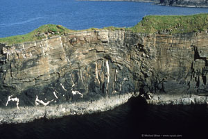 North Mayo coast